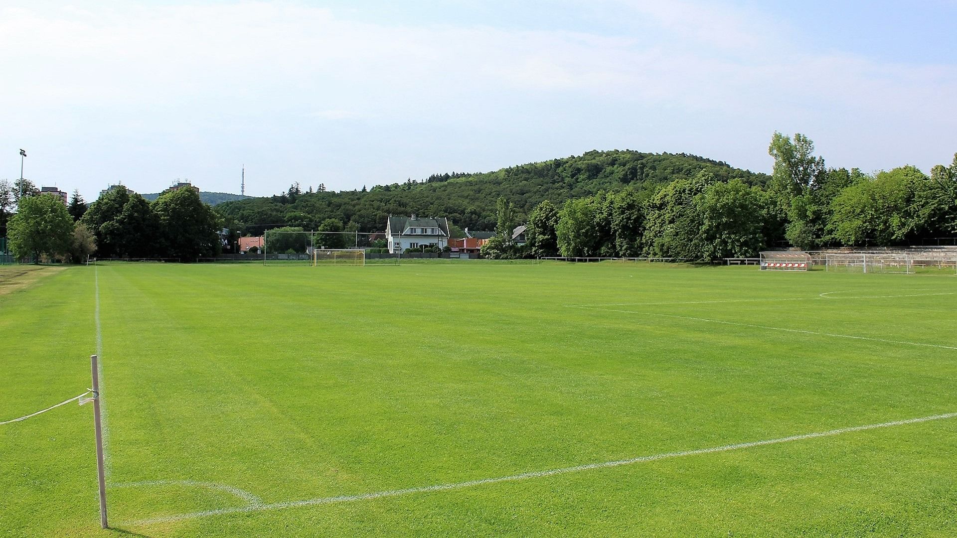 Naturrasenplatz NWZ
