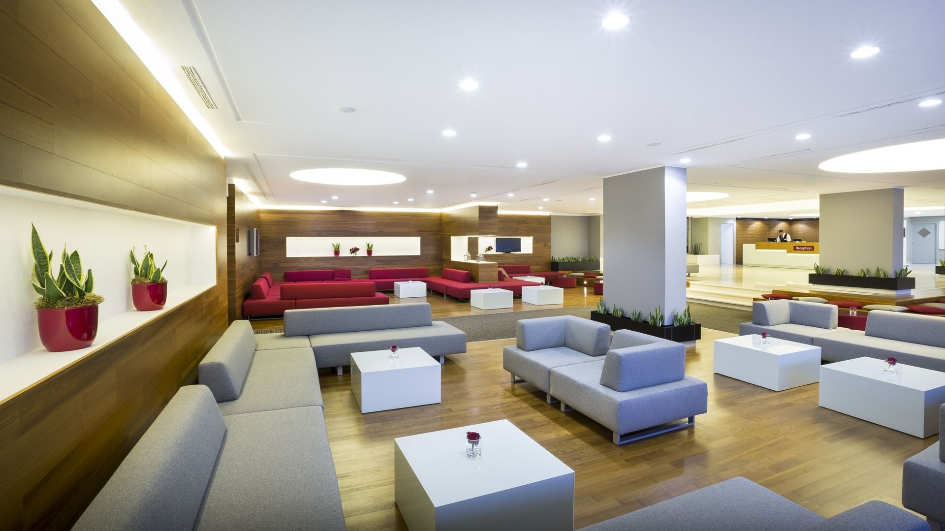 Hotel Excelsior****