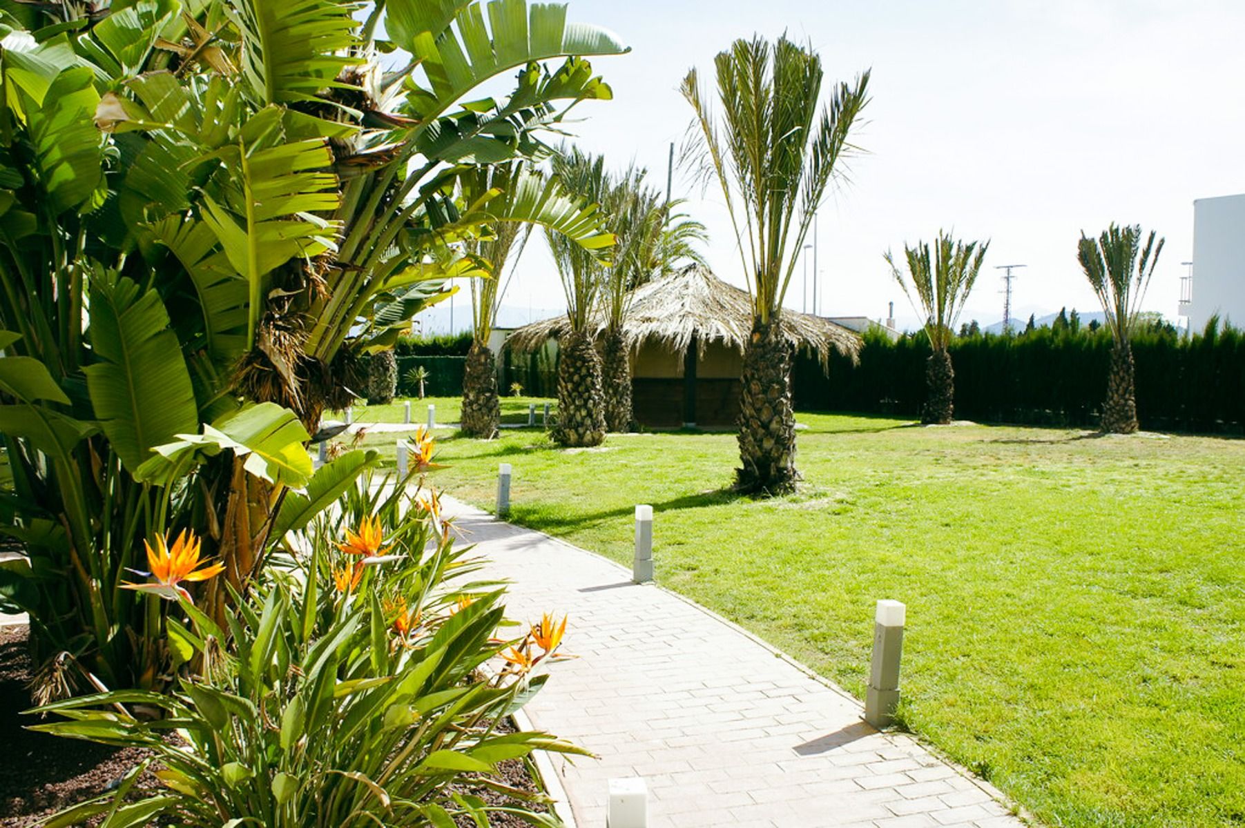 Hotel Playa Oliva***