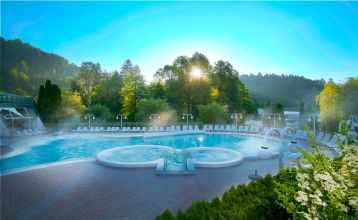 Terme Topolsica***