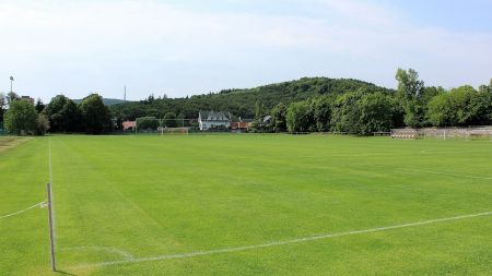 Naturrasenplatz NWZ