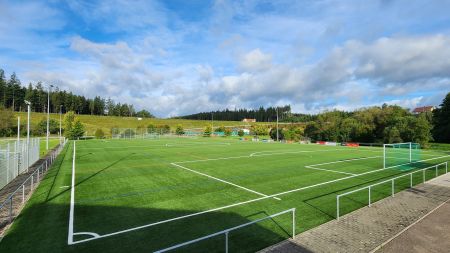 Kunstrasenplatz Wolterdingen
