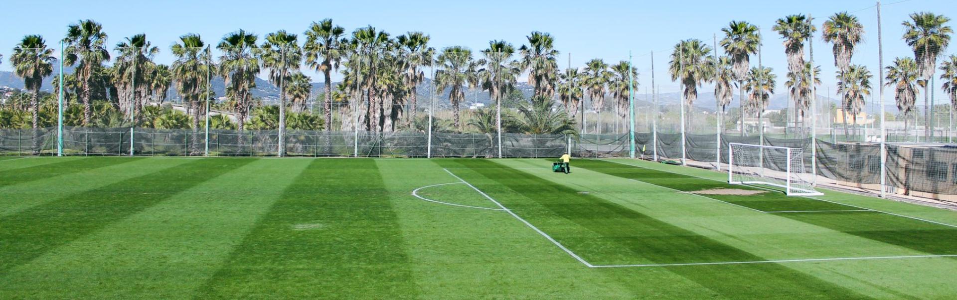 Ein sattgr&uuml;ner Fu&szlig;ballplatz mit Palmenkulisse, mediterraner Atmosph&auml;re und perfekten Trainingsbedingungen.