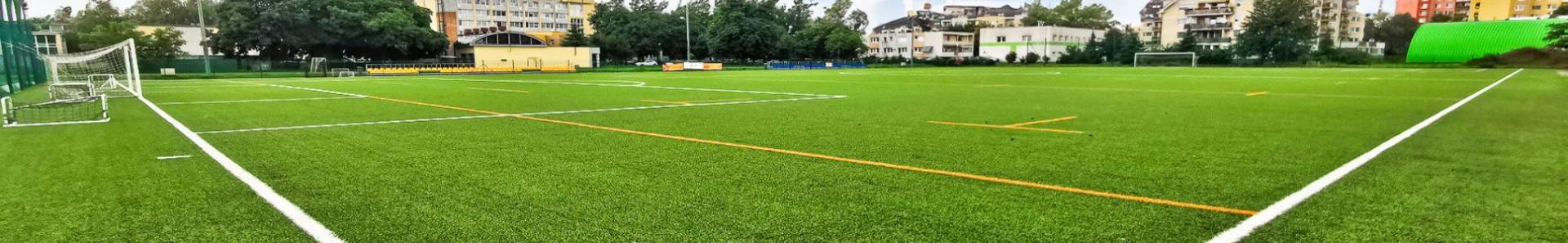 Moderner Kunstrasenplatz mit klaren Spielfeldmarkierungen, umgeben von Wohngeb&auml;uden und Sporteinrichtungen.