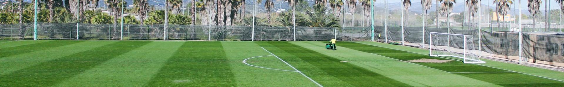 Ein sattgr&uuml;ner Fu&szlig;ballplatz mit Palmenkulisse, mediterraner Atmosph&auml;re und perfekten Trainingsbedingungen.