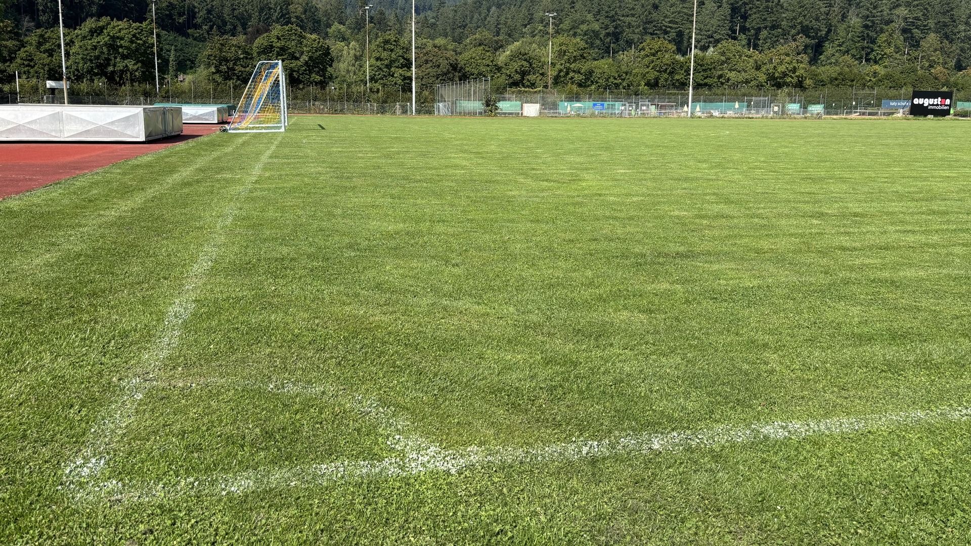 Naturrasenplatz Freiburg