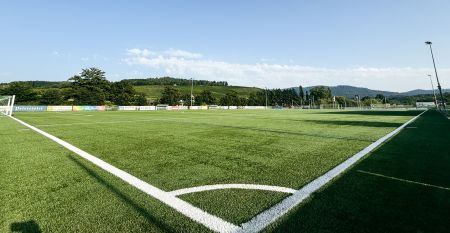 Der Hanauer Hof, ein gro&szlig;es traditionelles Hotel mit Ziegeldach und gr&uuml;nen Fensterl&auml;den, steht an einer Stra&szlig;enecke in Appenweier. Autos sind drau&szlig;en geparkt, Sonnenkollektoren s&auml;umen das Dach, und ein Kunstrasenplatz ist unter dem klaren blauen Himmel ni