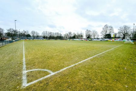 Naturrasen 1 Hulshorst