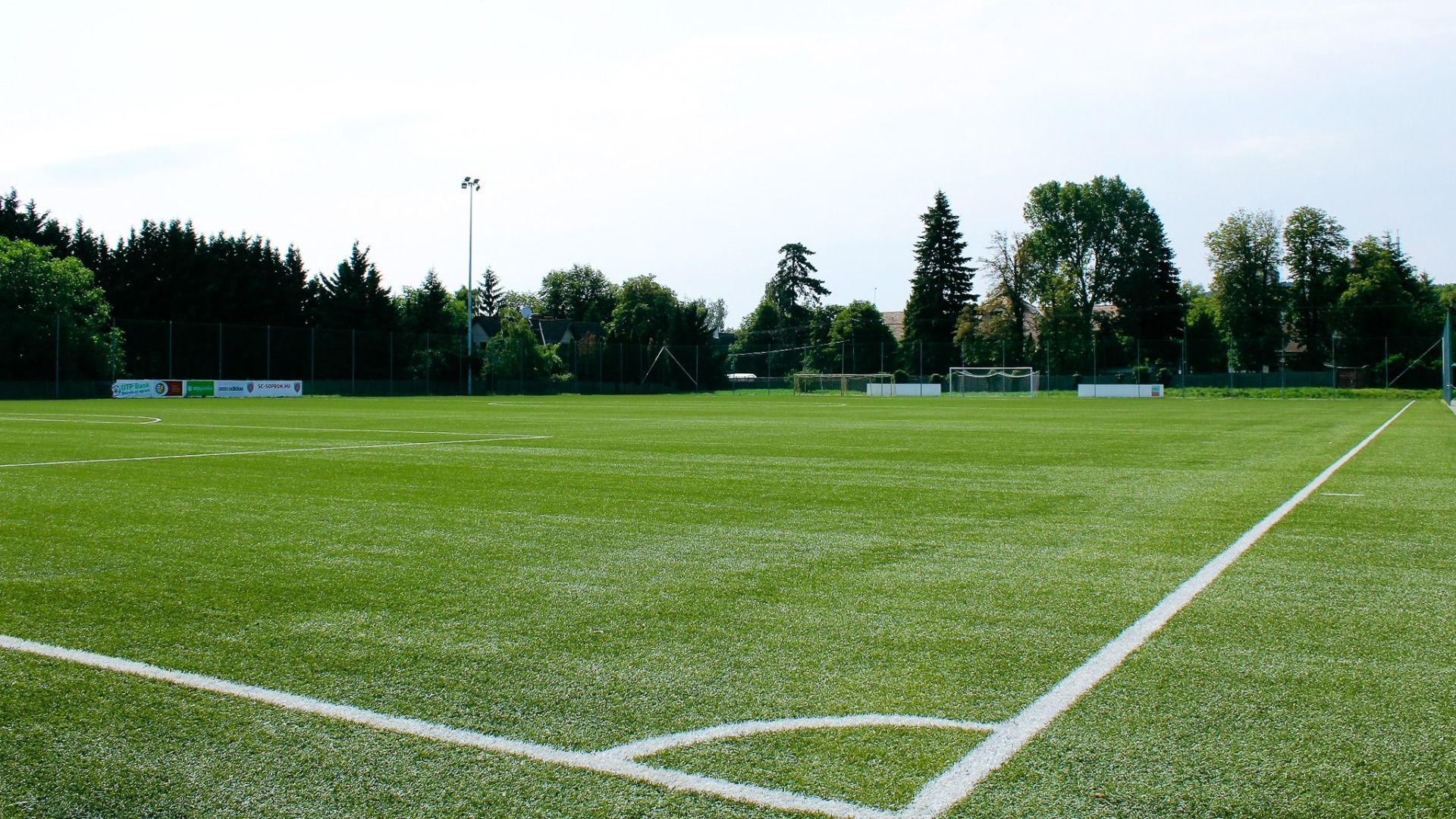 fagus Hotel Conference & Spa****