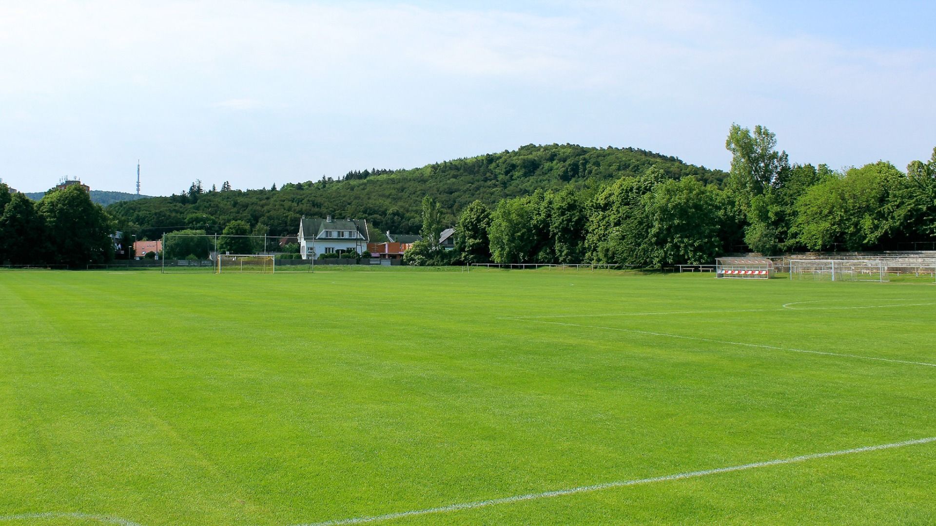 fagus Hotel Conference & Spa****