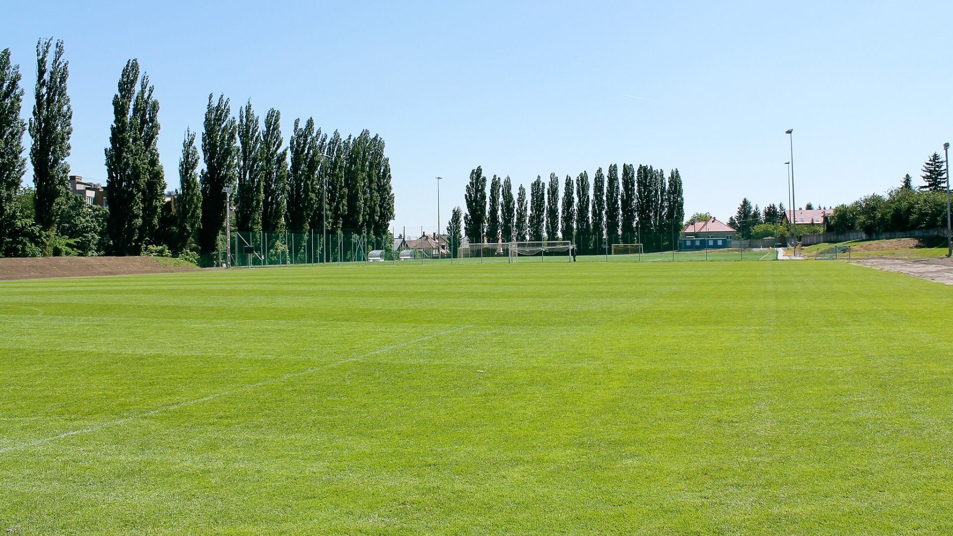 fagus Hotel Conference & Spa****