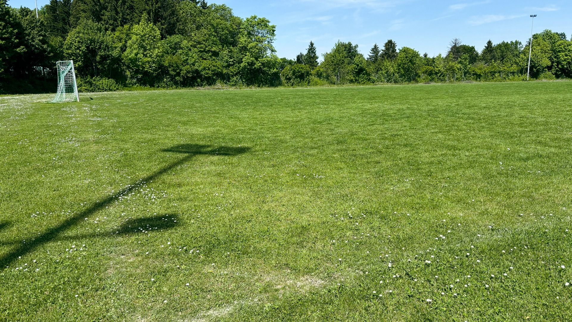 Naturrasenplatz Hohenstaufen