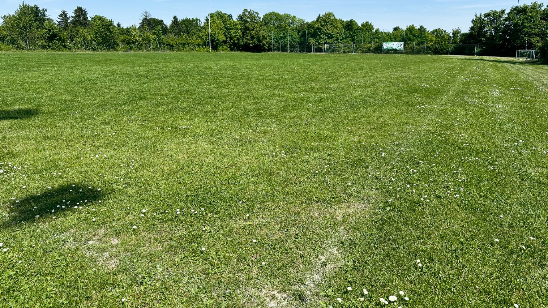 Naturrasenplatz Hohenstaufen