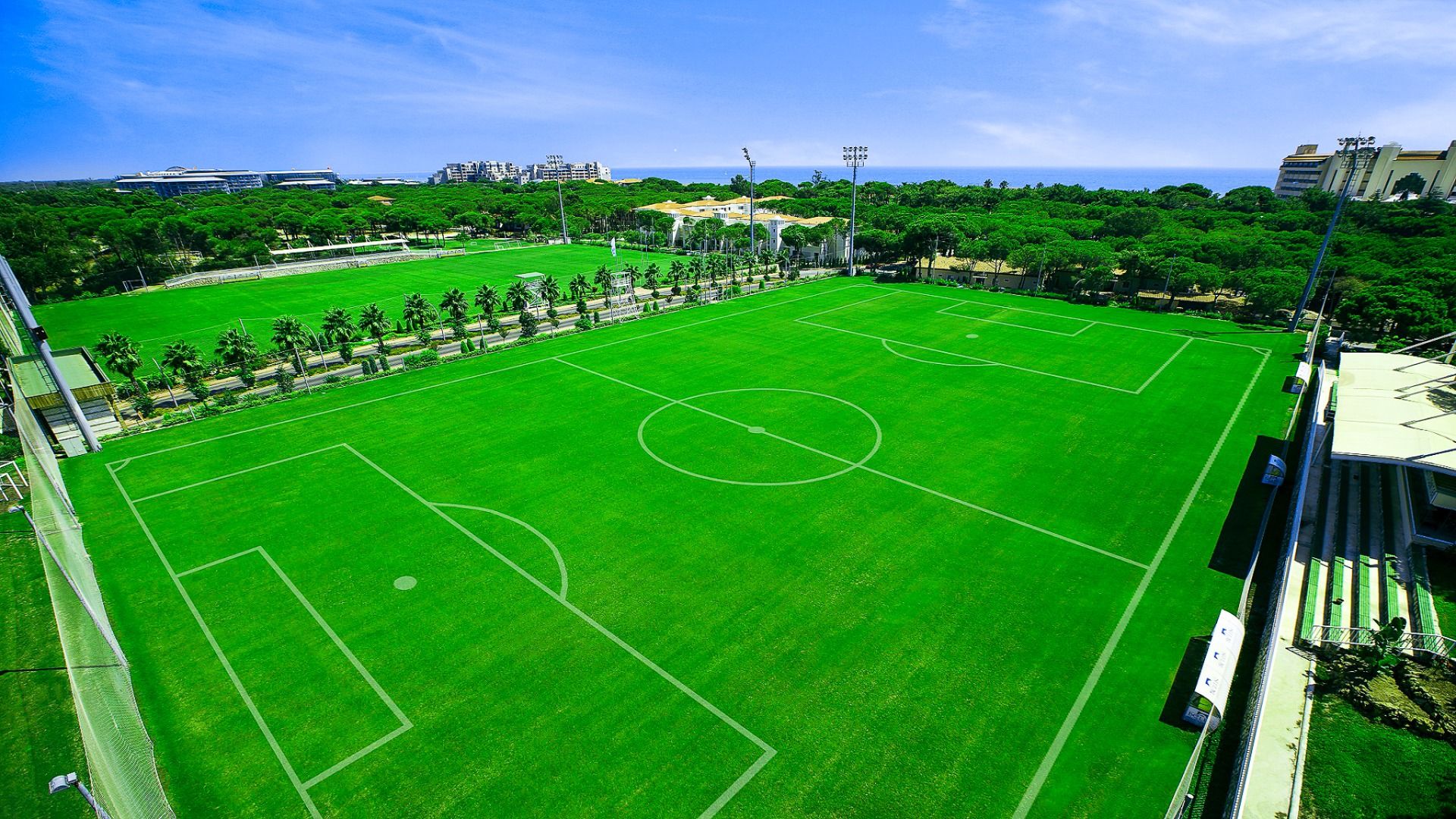 Bellis Deluxe Platz A