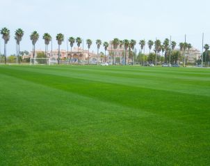 Hotel Oliva Nova Image five