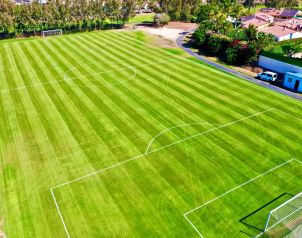 Hotel Jardin Dorado Image five