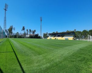 Hotel Kremlin Palace Image five