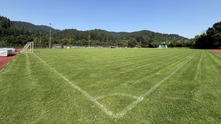 Naturrasenplatz Freiburg