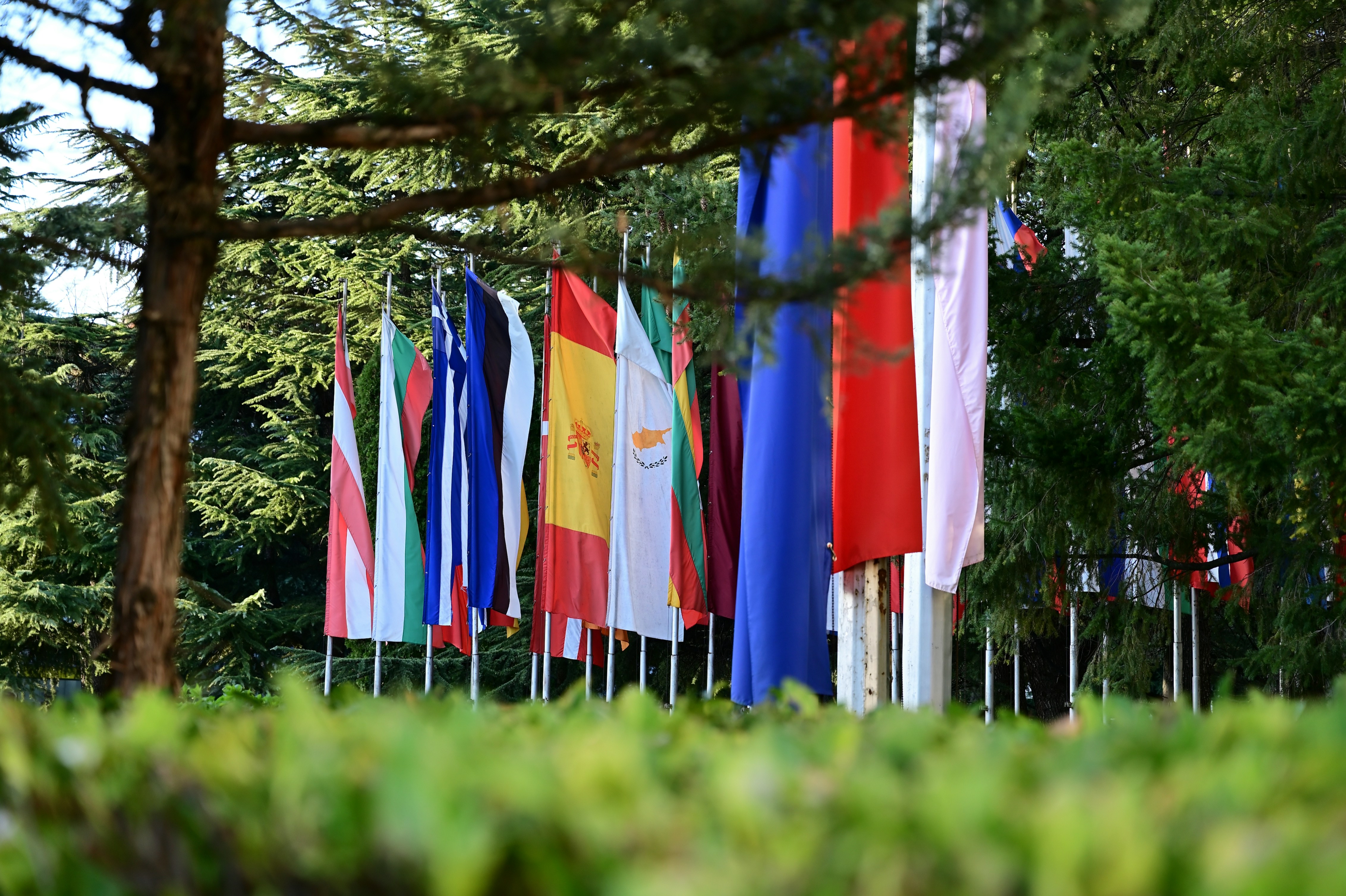 Row of European national flags amidst green trees.