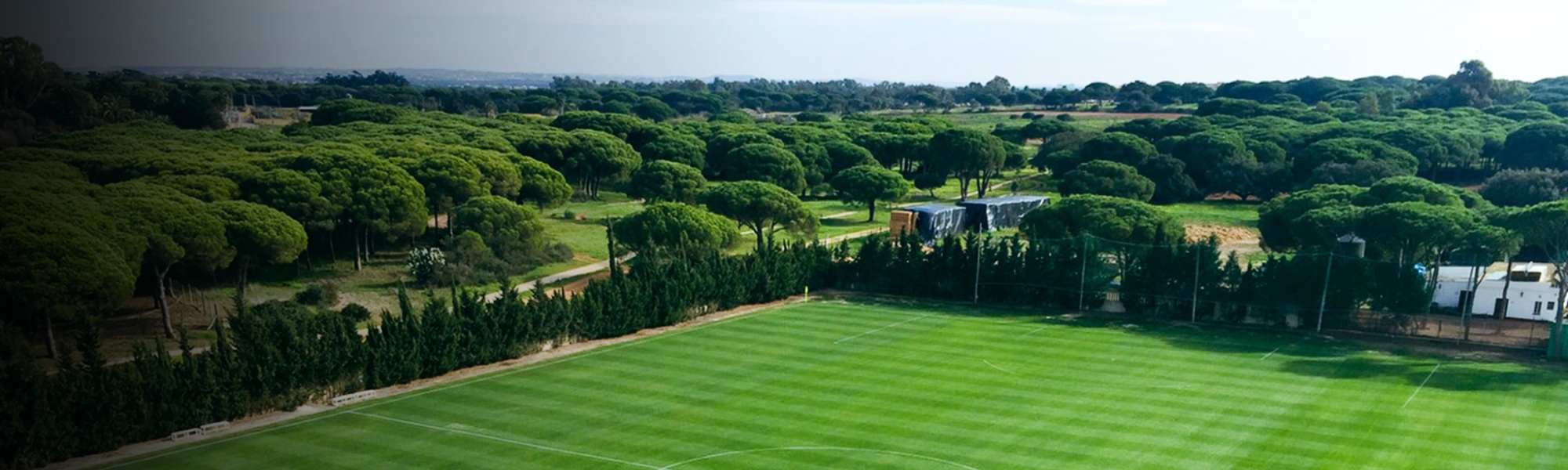 Perfekter Naturrasenplatz umgeben von malerischen Pinienwäldern in sonniger Lage.
