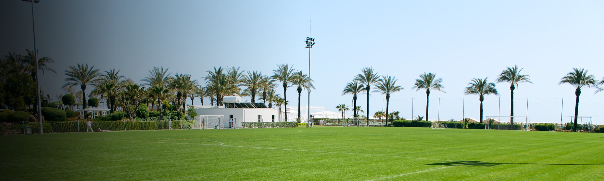 Football pitch in Lara with first-class grass and palm trees in the background, ideal for intensive training sessions.