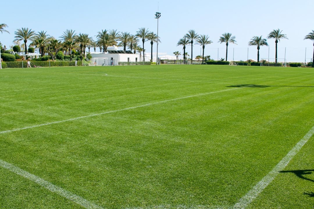 Football pitch in Lara with first-class grass and palm trees in the background, ideal for intensive training sessions.