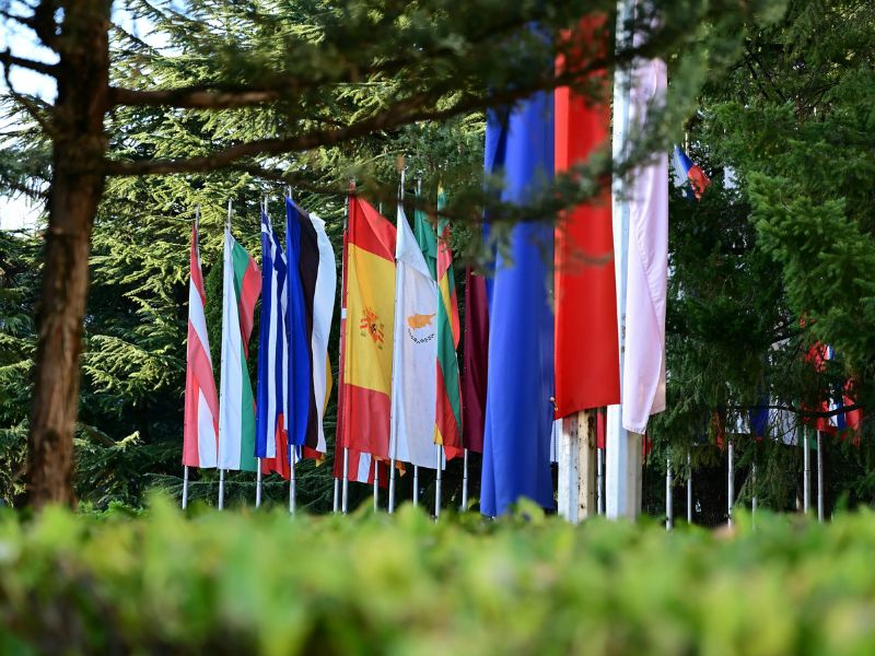 Row of European national flags amidst green trees.