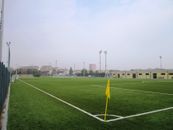 Artificial pitch