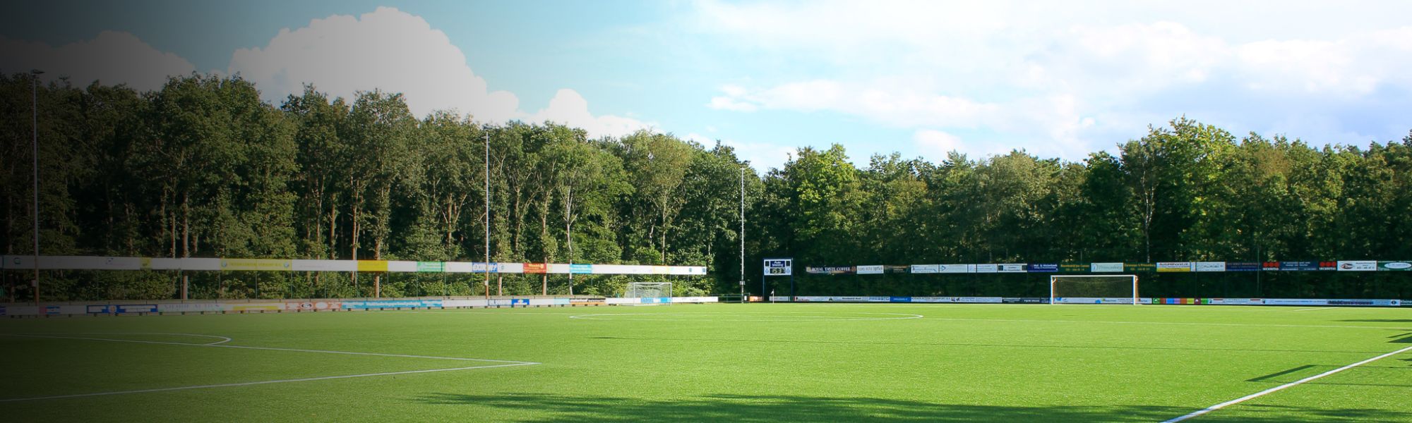 Panoramic shot of a football pitch with artificial turf in the Netherlands, framed by a dense forest landscape, advertising boards along the sides and a goal in the background.