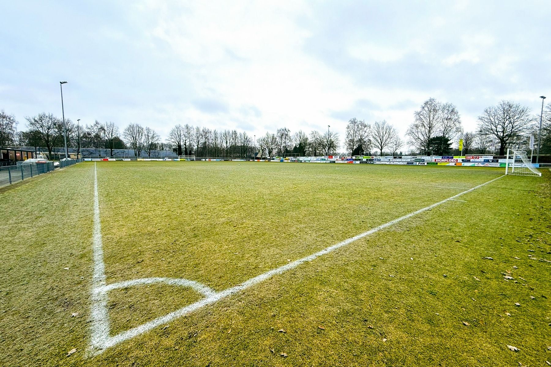 Naturrasen 1 Hulshorst