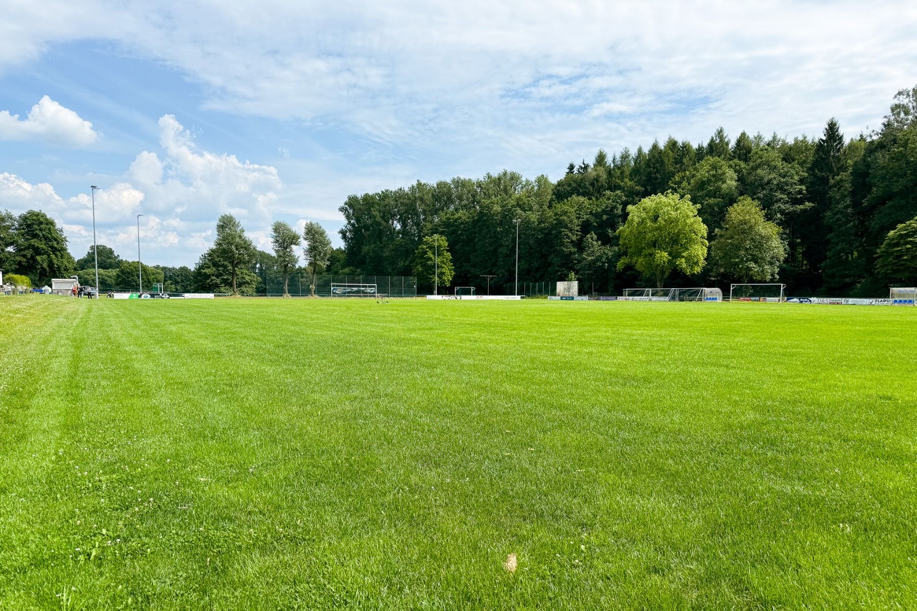 Naturrasenplatz Rommerz