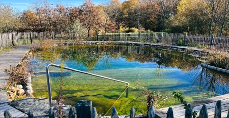 Hotel Der Freiraum Güssing