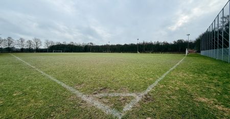 Hotel De Beyaerd biedt een ruim, modern restaurant met grote glazen ramen, lichthouten tafels, grijze en mosterdkleurige stoelen, hangende potplanten en uitzicht op bomen - ideaal voor teambuildingsactiviteiten.
