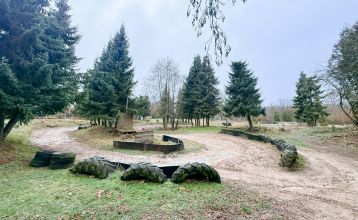 Hotel De Beyaerd biedt een ruim, modern restaurant met grote glazen ramen, lichthouten tafels, grijze en mosterdkleurige stoelen, hangende potplanten en uitzicht op bomen - ideaal voor teambuildingsactiviteiten.