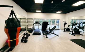 Hotel De Beyaerd biedt een ruim, modern restaurant met grote glazen ramen, lichthouten tafels, grijze en mosterdkleurige stoelen, hangende potplanten en uitzicht op bomen - ideaal voor teambuildingsactiviteiten.