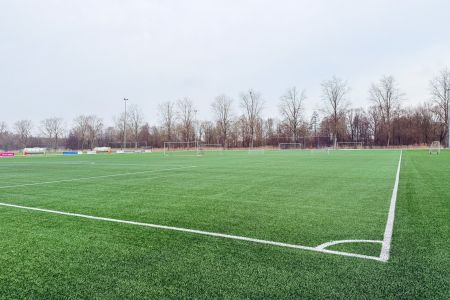 Het kunstgrasveld II in Zeewolde is een groen kunstgrasveld met verschillende doelen omringd door bladerloze bomen onder een bewolkte hemel.