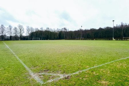 Naturrasen 2 Hulshorst