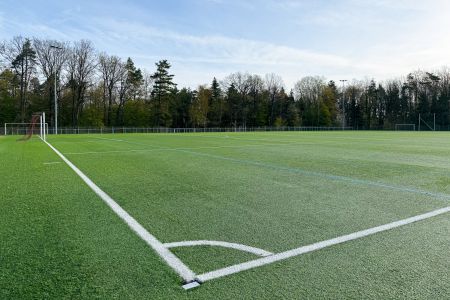 Het kunstgrasveld van Birkenfeld bestaat uit een groen kunstgrasvoetbalveld met witte grenslijnen, gelegen in de open lucht tussen de bomen en onder een stralend blauwe hemel.