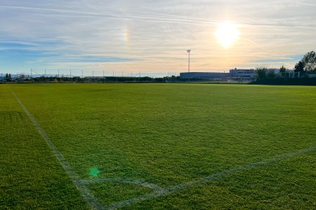 De natuurlijke grasmat van 1. SC Fortuna Wiener Neustadt toont een zonovergoten voetbalveld met groen gras, witte grenslijnen, een doelpaal in de verte, een gedeeltelijk bewolkte lucht, fel zonlicht en zichtbare gebouwen op de achtergrond.