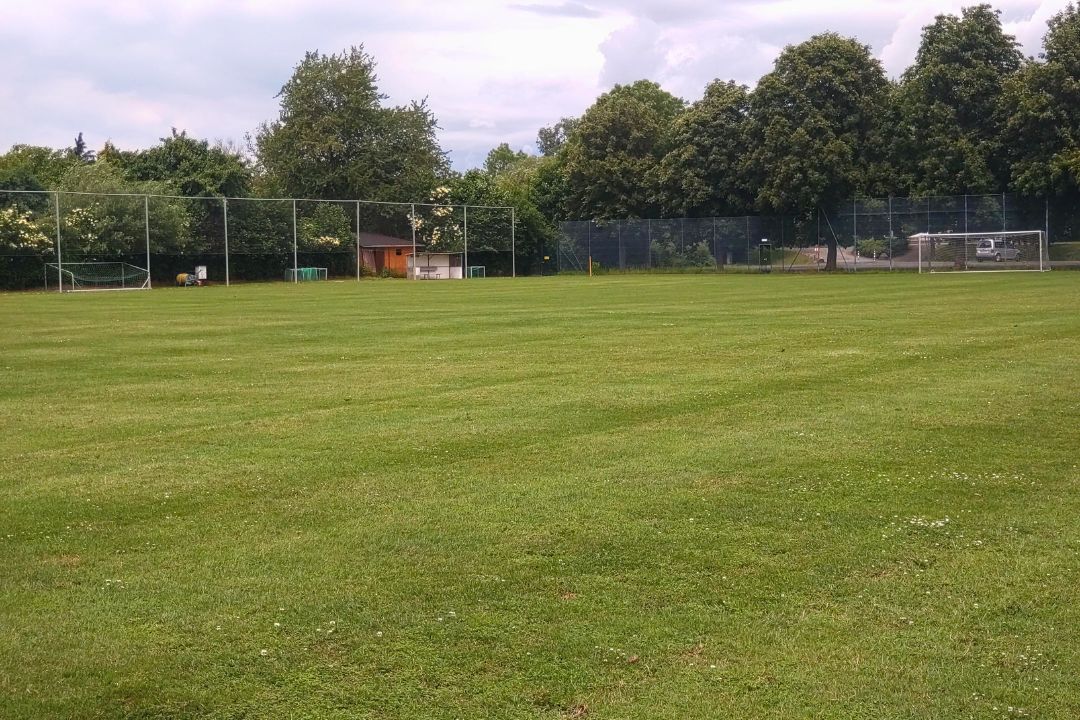 Fußballtrainingsplatz im Harz mit grünem Naturrasen, Eckfahne, Bänken und Banden, umgeben von Bäumen.