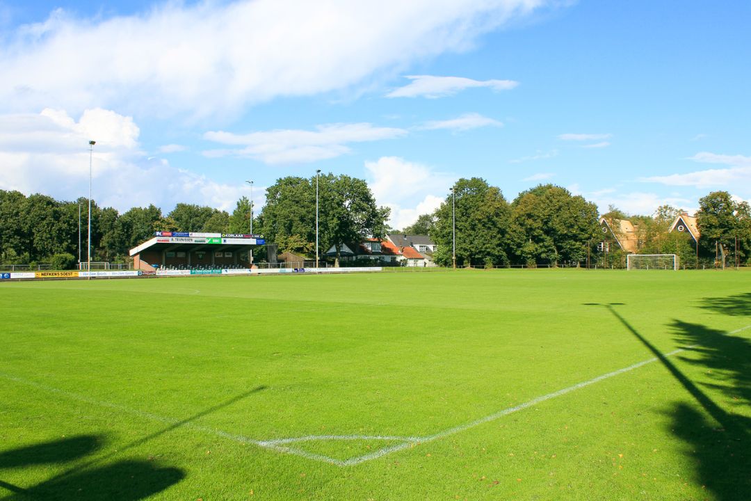 Voetbalveld in Utrecht met een groen veld, tribunes en schijnwerpermasten, omringd door bomen en huizen op de achtergrond.