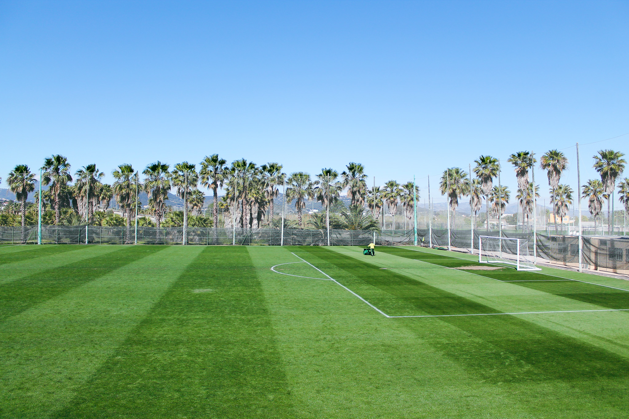 Een weelderig groen voetbalveld met palmbomen op de achtergrond, een mediterrane sfeer en perfecte trainingsomstandigheden.