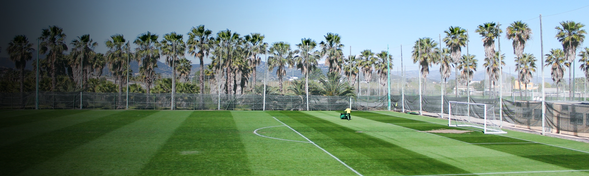 Een weelderig groen voetbalveld met palmbomen op de achtergrond, een mediterrane sfeer en perfecte trainingsomstandigheden.