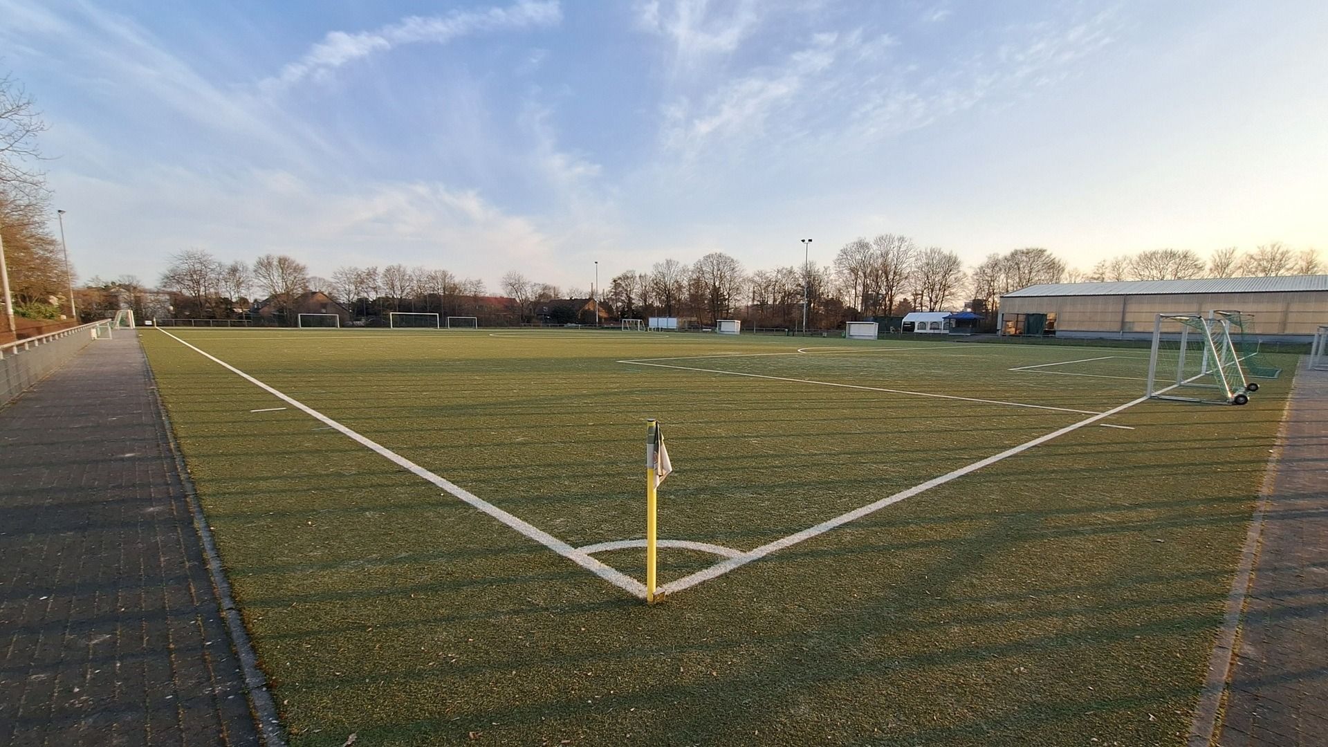 Uedesheim Kunstrasen