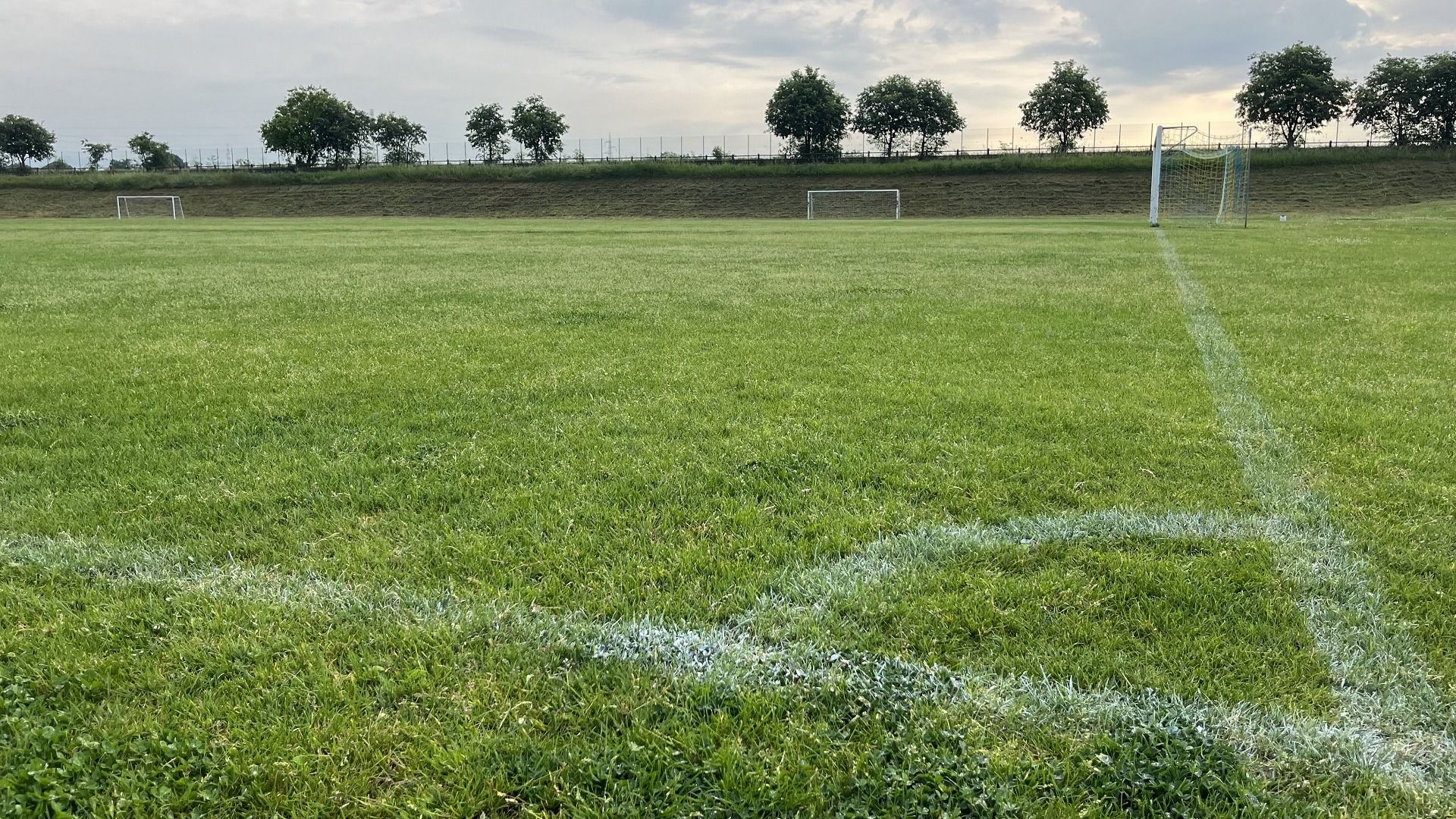 Naturrasenplatz Caselle