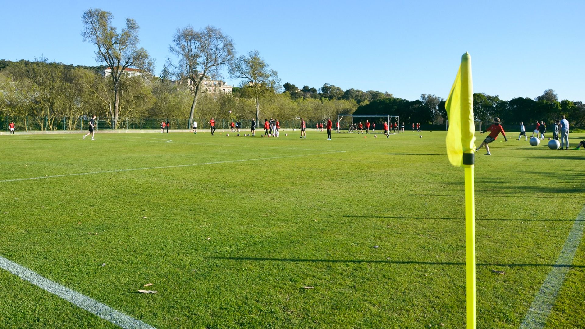 Hotel Amazonia Jamor