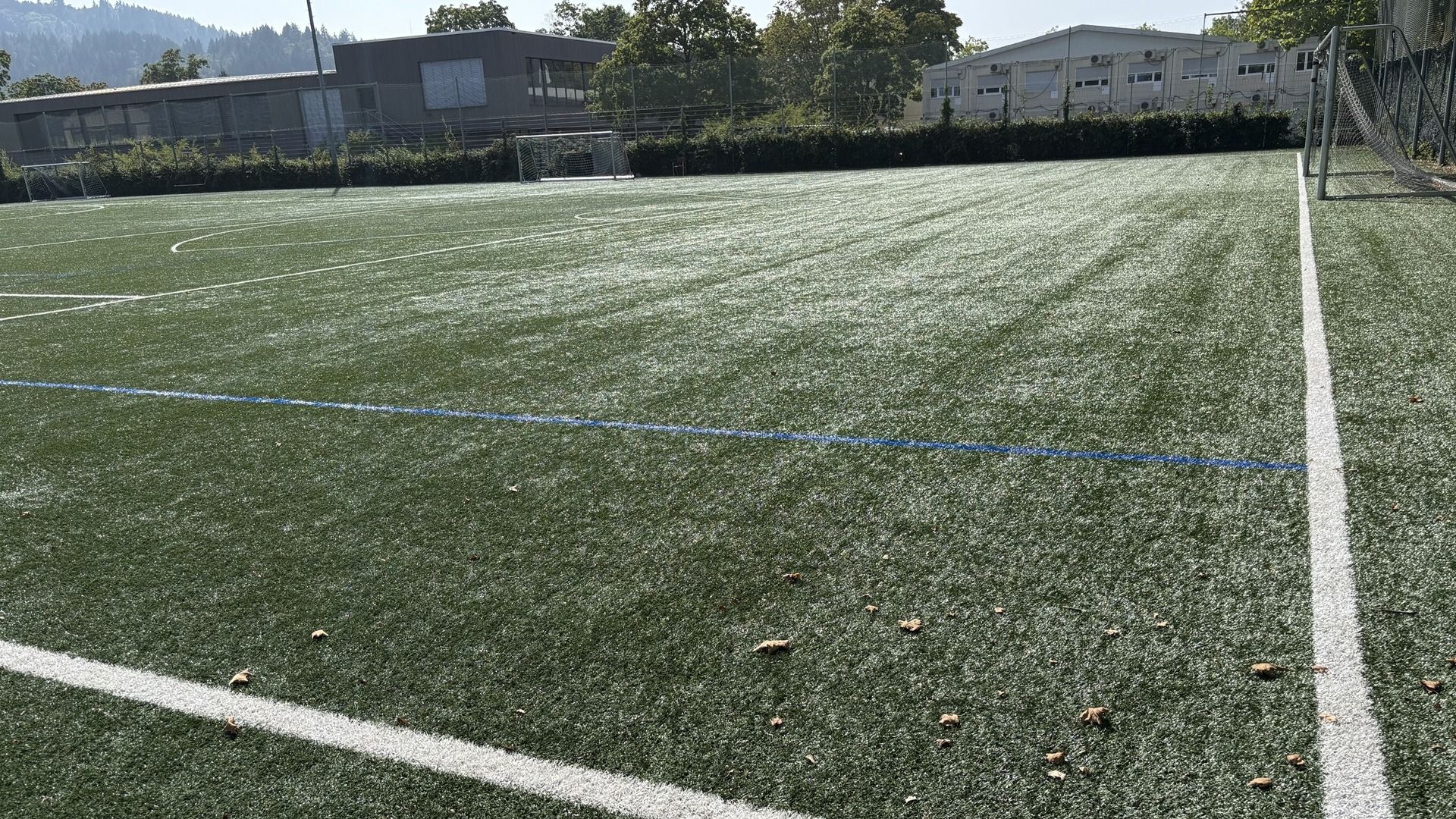 Kunstrasenplatz 3 Freiburg