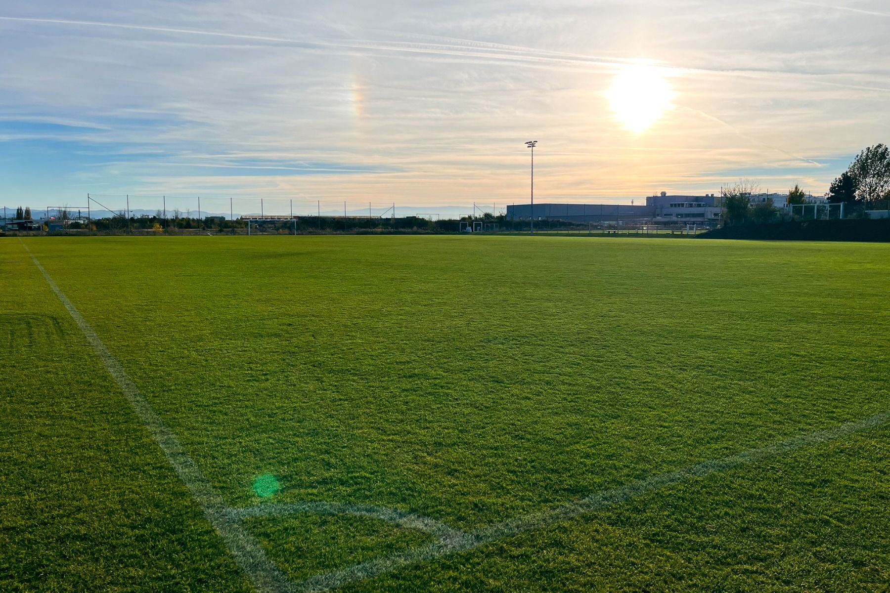 Naturrasen 1. SC Fortuna Wiener Neustadt