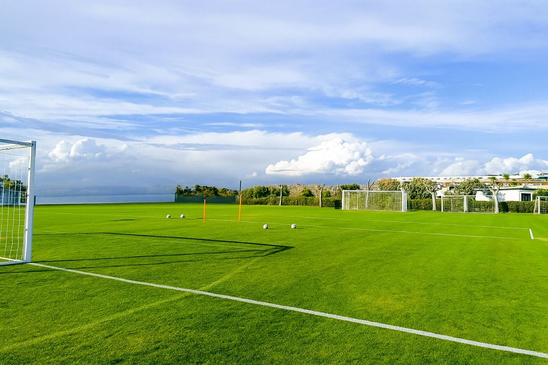 Tui Magic Life Jacaranda