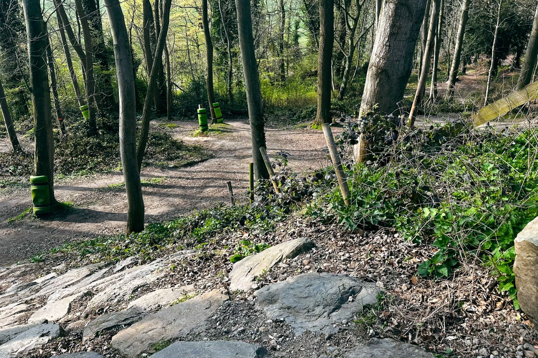 In der Nähe des Watersley Sports & Talentpark schlängelt sich ein Waldweg durch hohe Bäume und Grünanlagen. Steine und Blätter bedecken den Boden, und zwei grüne Mülleimer stehen entlang des Feldwegs. Das Sonnenlicht fällt durch das Laub.